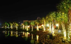 den-pha-led-chieu-cay-canh-nam-2025