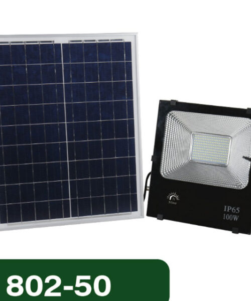 den-pha-nang-luong-mat-troi-100w-nsun