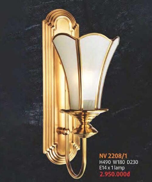 den-tuong-dong-nv-2208-1