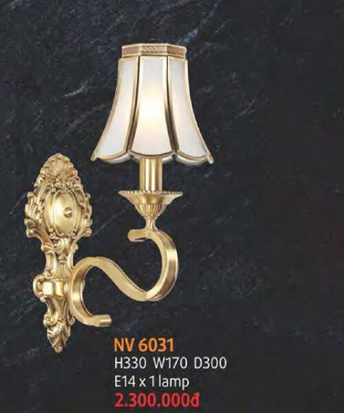 den-tuong-dong-nv-6031