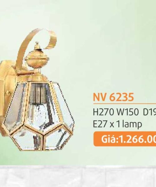 den-tuong-dong-nv-6235