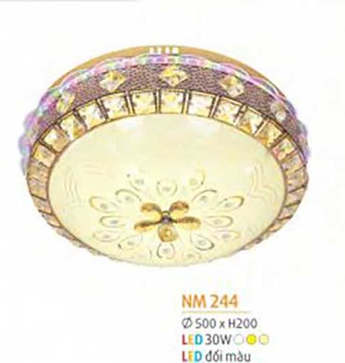 den-op-tran-mica-nm-244