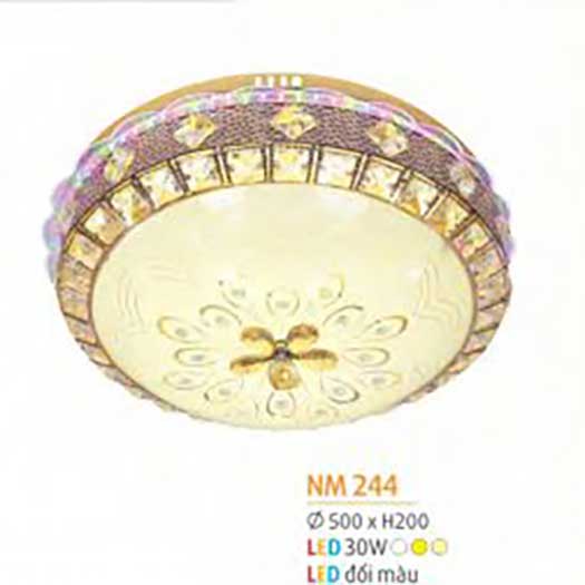 den-op-tran-mica-nm-244