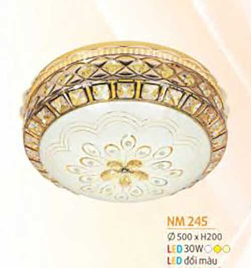 den-op-tran-mica-nm-245