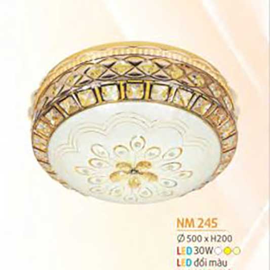 den-op-tran-mica-nm-245