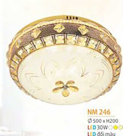 den-op-tran-mica-nm-246
