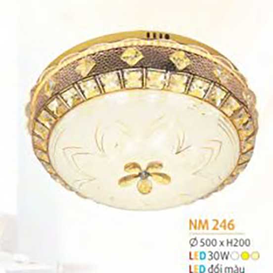 den-op-tran-mica-nm-246