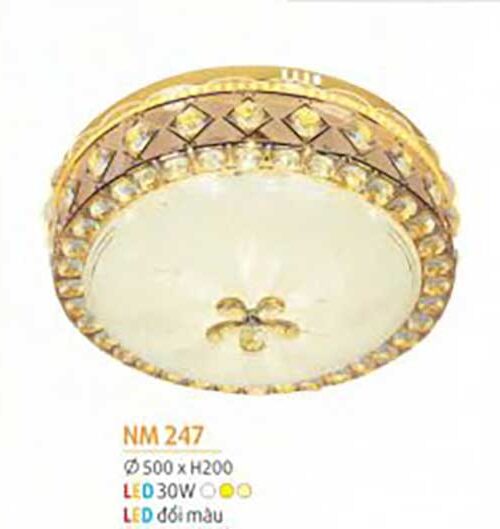 den-op-tran-mica-nm-247