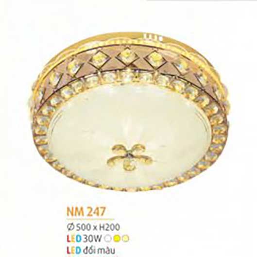den-op-tran-mica-nm-247