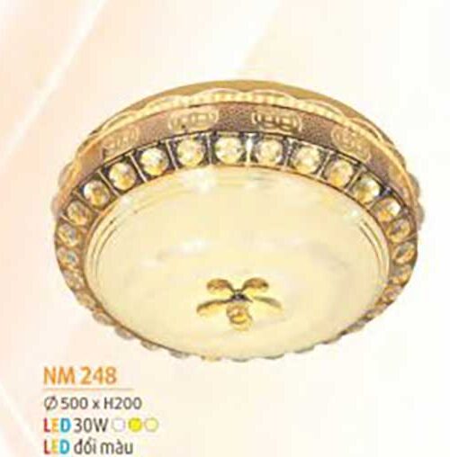 den-op-tran-mica-nm-248