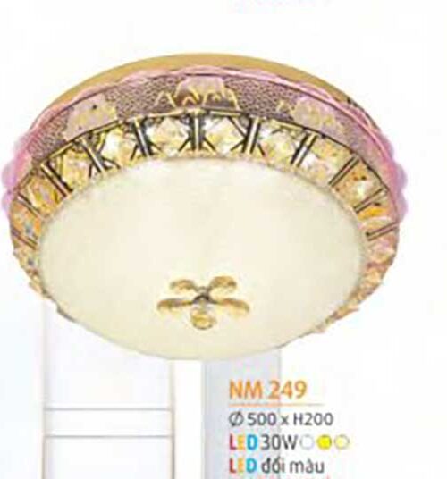 den-op-tran-mica-nm-249